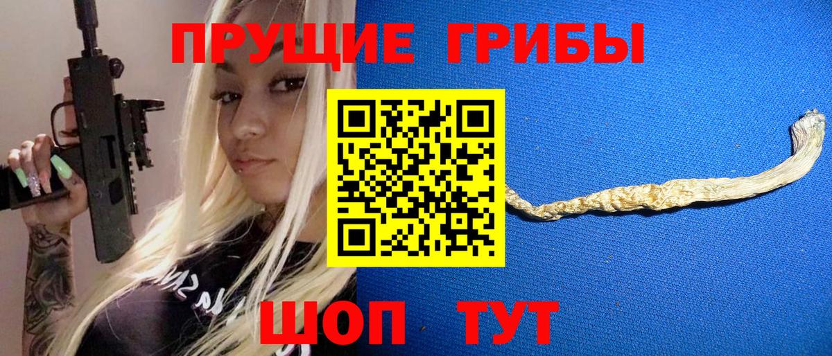 Галлюциногенные грибы Psilocybine cubensis Муравленко