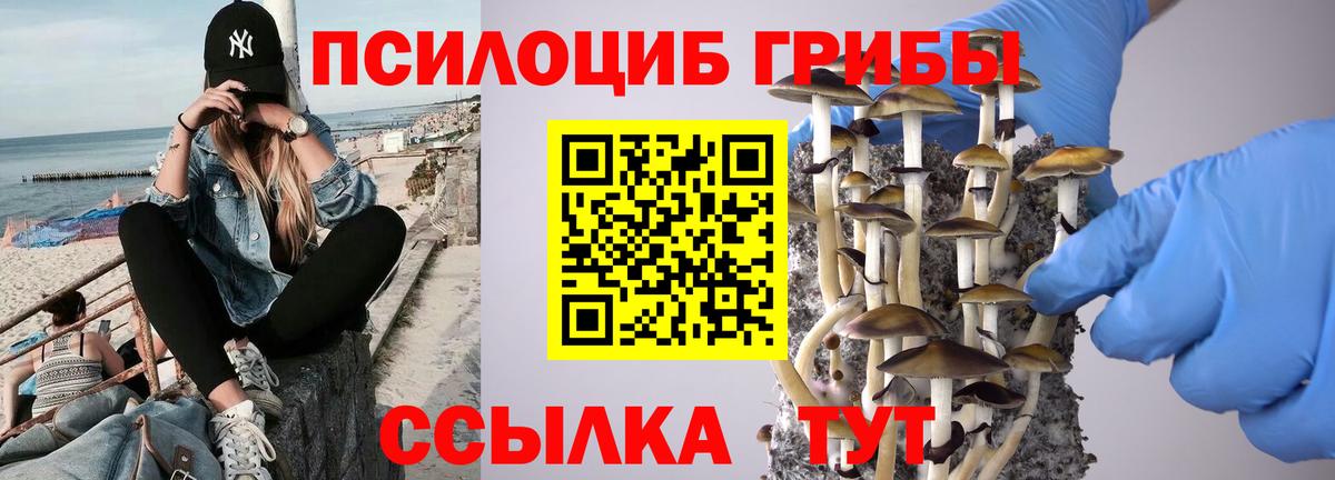 Псилоцибиновые грибы мицелий  Вход с VPN  Муравленко 